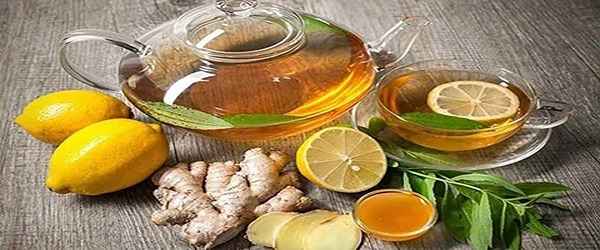 تصویر 5 از قیمت گیاه دارویی به لیمو با کیفیت ارزان + خرید عمده